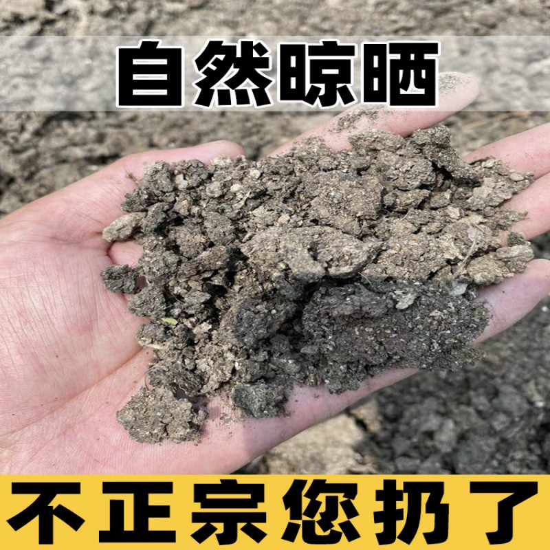 福建有机肥厂干猪粪有机肥蔬菜肥料农作物肥料腐熟农家肥干猪粪