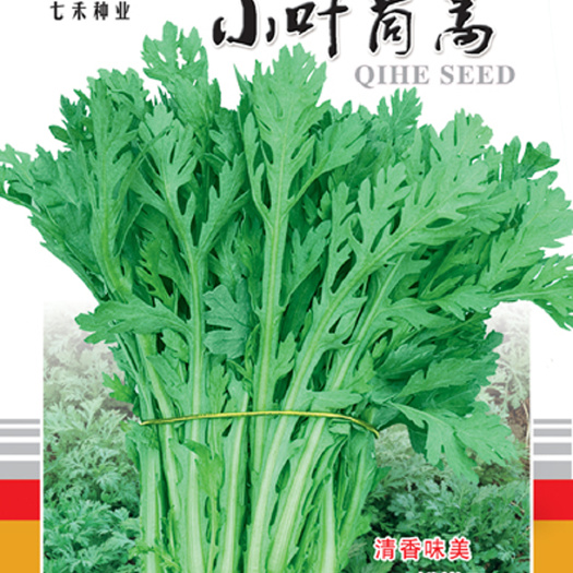 眉山七禾种业早熟 小叶茼蒿种子 春菊种子 阳台庭院