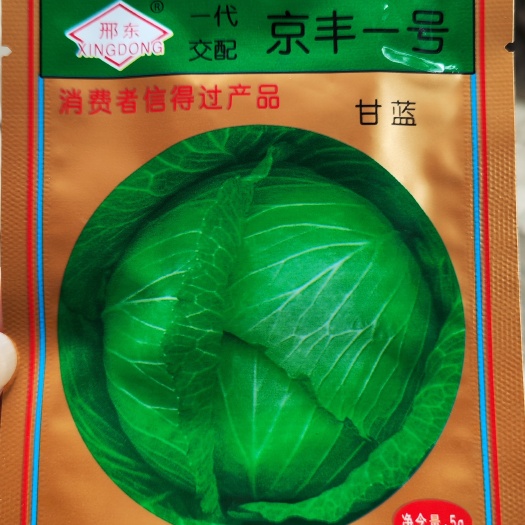 眉山杂交京丰一号甘蓝种子 包菜种子10克装