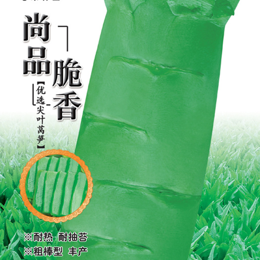 七禾耐热尖叶莴笋种子 莴苣 尚品脆香 青肉青叶莴笋种子