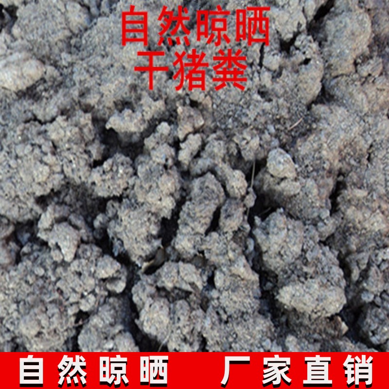 福建有机肥厂干猪粪有机肥蔬菜肥料农作物肥料腐熟农家肥干猪粪