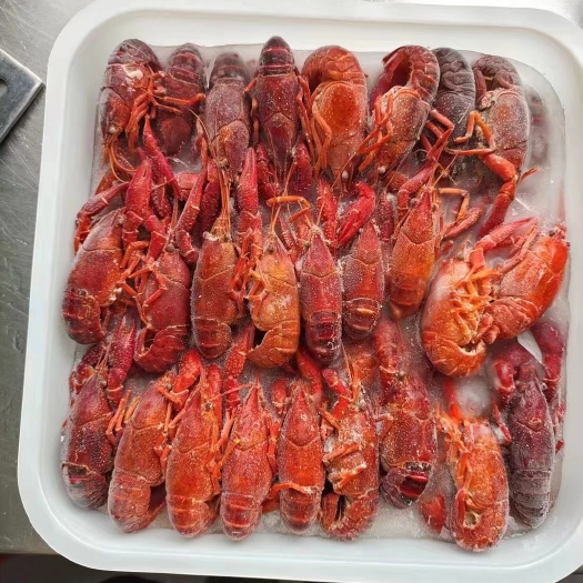 潜江市湖北潜江液氮锁鲜虾小龙虾红虾,冻虾尾  小龙虾。规格齐全。