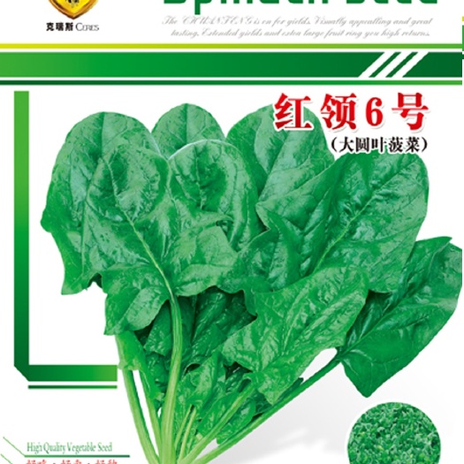 眉山七禾杂交大圆叶菠菜 红领6号 20克