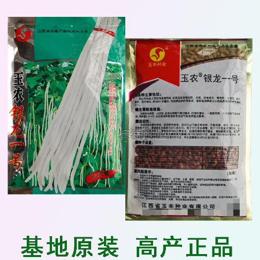 银龙一号白豆角种子白长豆角春夏秋播白玉长豇豆易种蔬菜孑