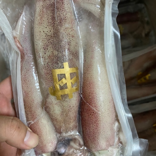 东山县满膏鱿鱼带籽小管 海兔鱿鱼母