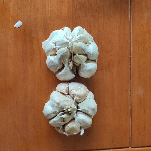 江阴市出口印尼蒜