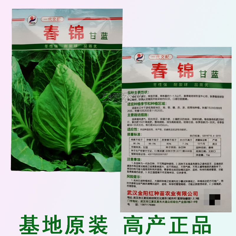 武汉牛心甘蓝种子春丰甘兰种子春峰甘蓝种子鸡心包牛心包种子