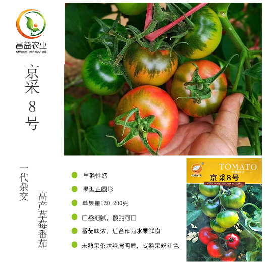 京彩8号草莓番茄种籽孑 北京现代农夫绿肩浓口感东北铁皮柿子种