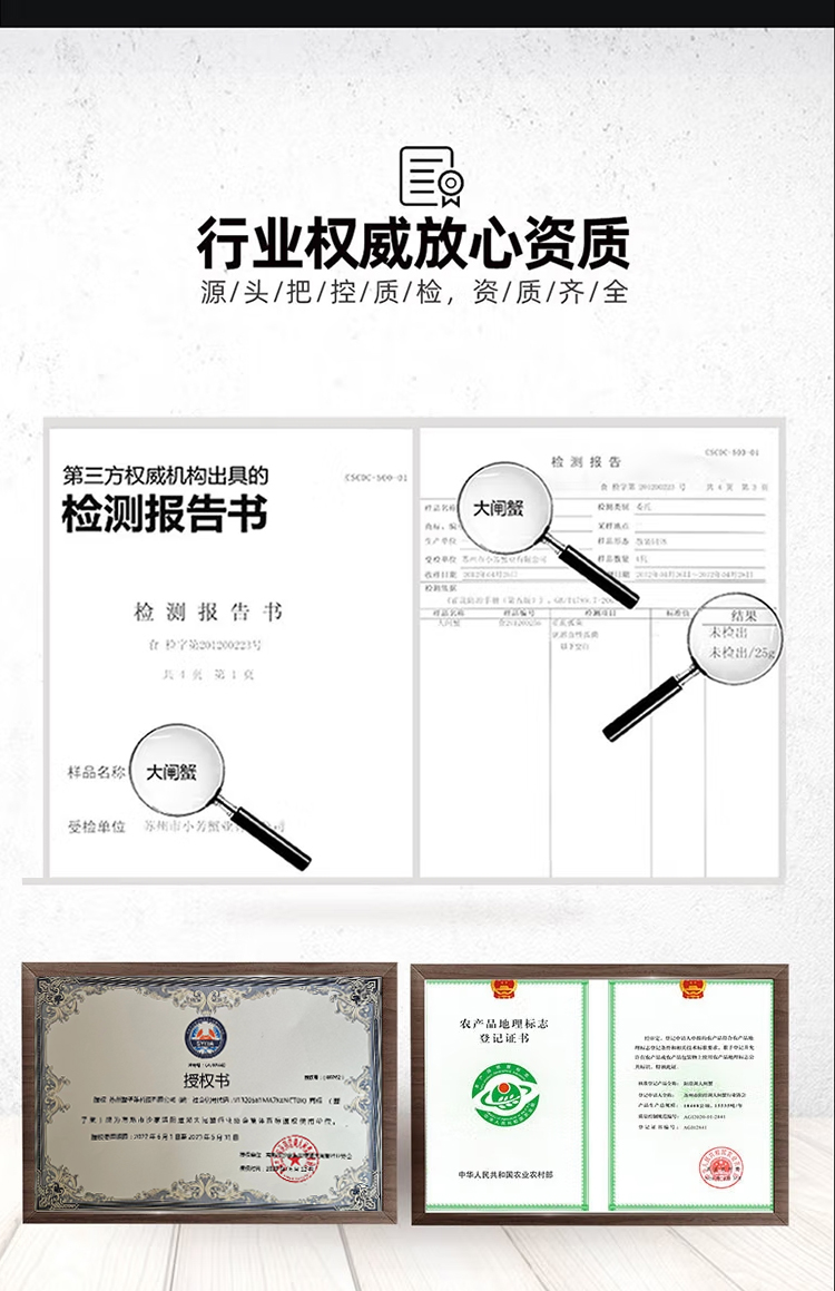 苏州大闸蟹  鲜活特大螃蟹 10只礼盒 现货水产河蟹阳澄湖镇镇