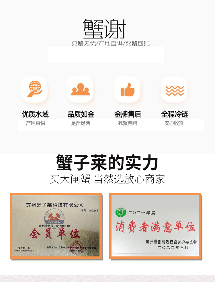 苏州大闸蟹  鲜活特大螃蟹 10只礼盒 现货水产河蟹阳澄湖镇镇