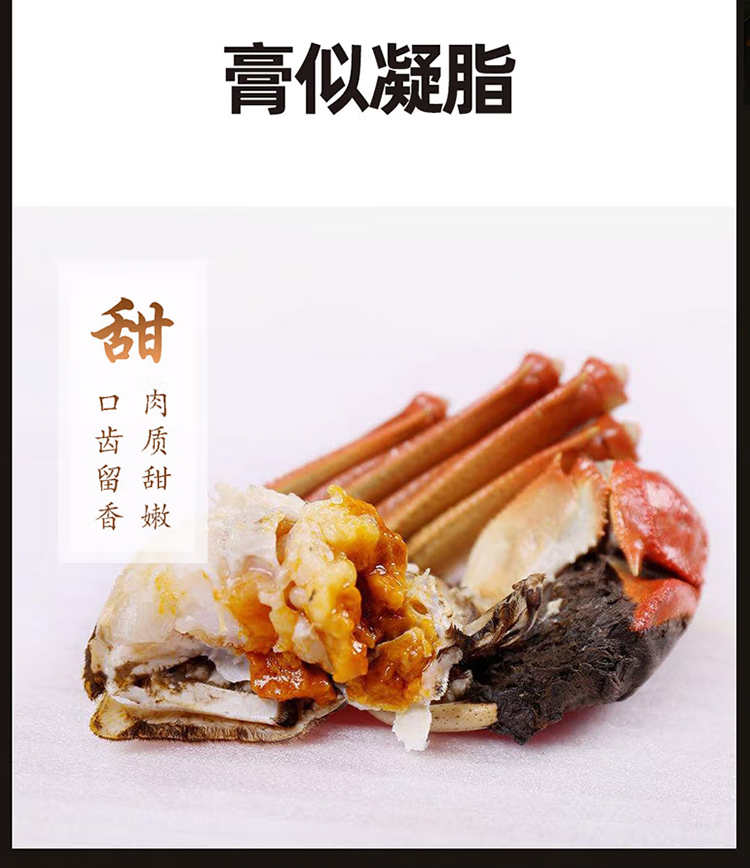 苏州大闸蟹  鲜活特大螃蟹 10只礼盒 现货水产河蟹阳澄湖镇镇