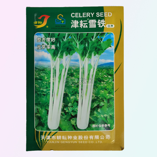 铁芹种籽津耘白芹种子10克白柄实心脆嫩好吃四季特色芹菜蔬菜种