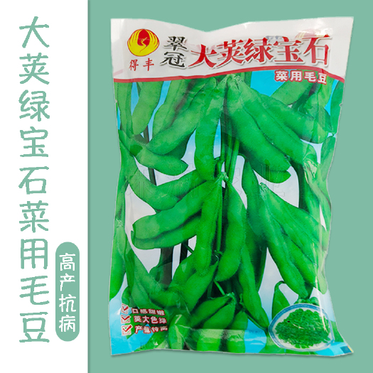 武汉绿宝石毛豆种子75天毛豆种籽高产毛豆种子丰产大荚全国批发