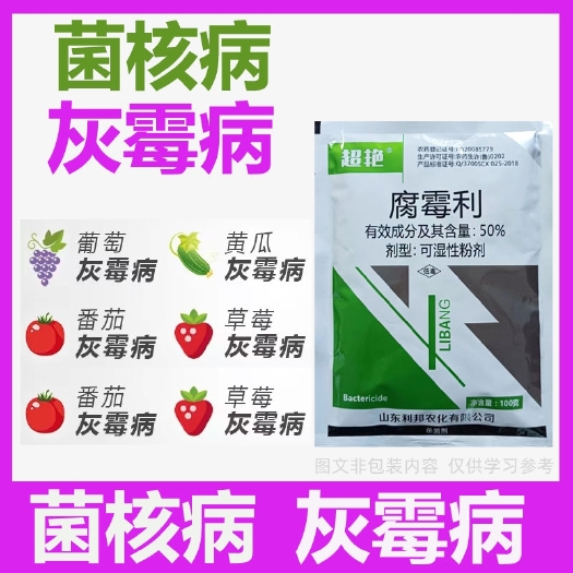 腐霉利 灰霉病