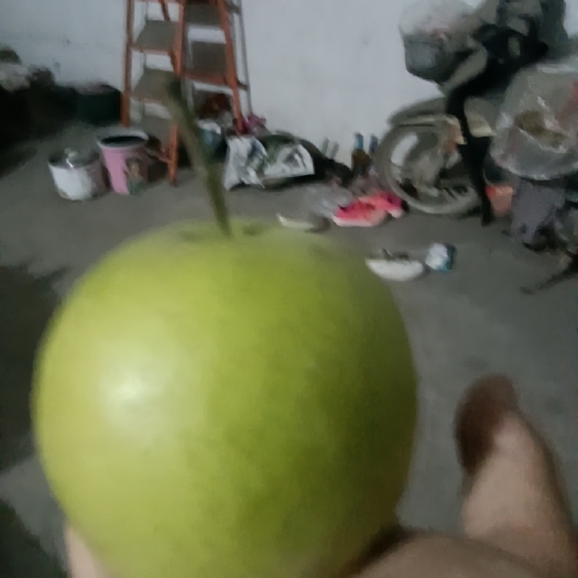 虞城县砀山特产黄冠梨