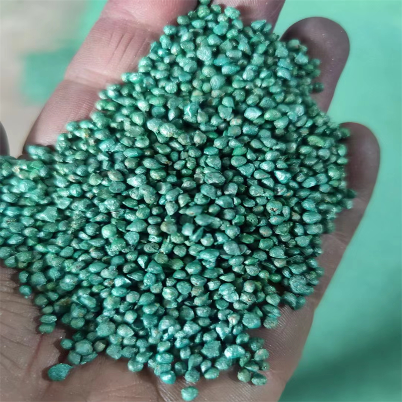 荷兰帝王菠菜种子耐寒绿宝大叶菠菜种子耐抽苔生长速度快菠菜种子