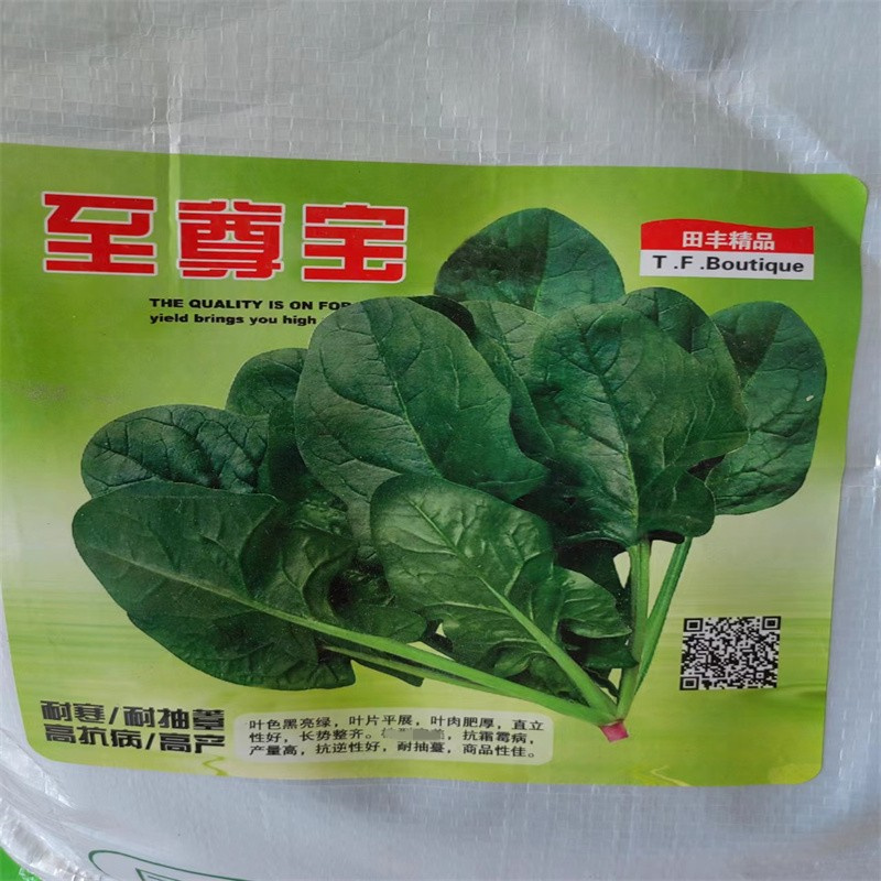荷兰帝王菠菜种子耐寒绿宝大叶菠菜种子耐抽苔生长速度快菠菜种子
