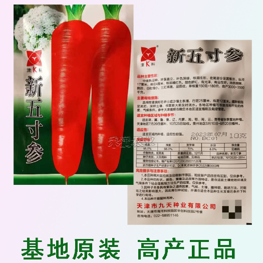 武汉基地五寸参胡萝卜种子三红胡萝卜种籽水果萝卜春四季蔬菜种孑