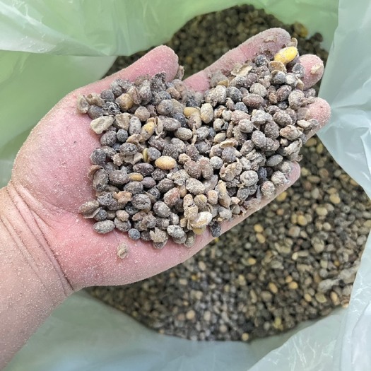 寿光市纯黄豆发酵有机肥