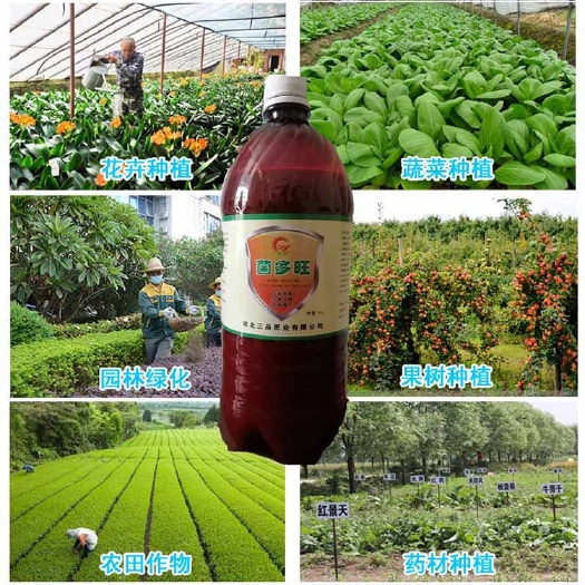 石家庄生根菌剂 50亿液体微生物菌剂促近毛细根生长 菌剂防根腐