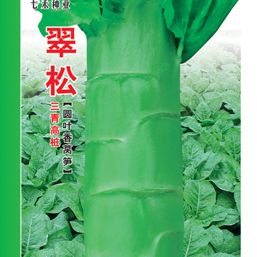 眉山七禾翠松 耐寒圆叶莴笋种子 三青高桩莴笋种子