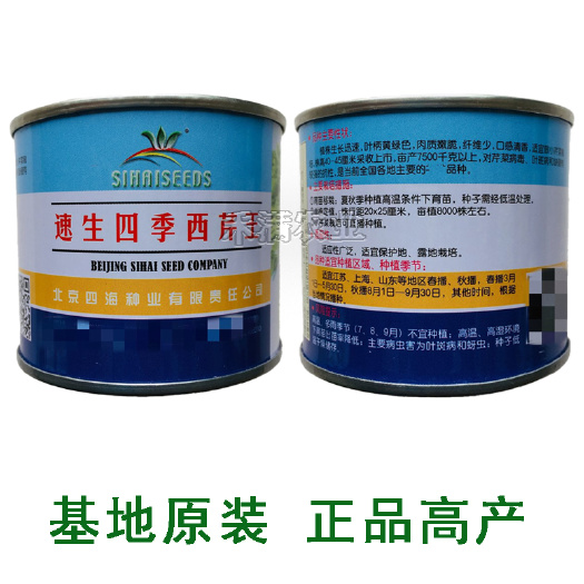 北京四海种业速生四季西芹王芹菜种子西洋芹种子纤维少抗热抗病强