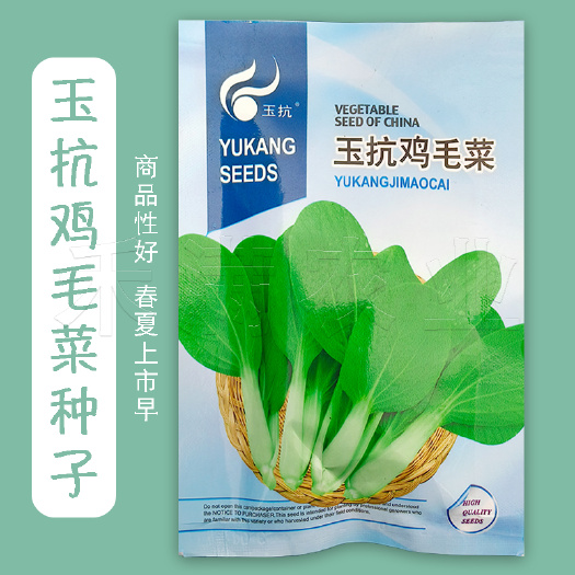 武汉【一年种九季】四季鸡毛菜种子18天小青菜种子蔬菜种子