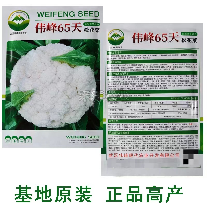 基地优品伟峰65松花菜种子有机花菜种籽花椰菜籽早中熟松花菜