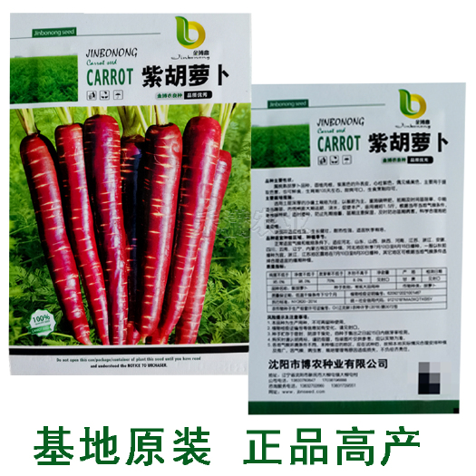 长沙紫胡萝卜种子水果胡萝卜种子耐寒秋冬蔬菜种子优质品种