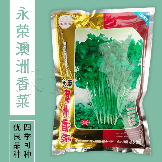 武汉澳洲小香菜种子阳台室内花卉盆栽小香菜蔬菜种子四季可播种蔬菜种