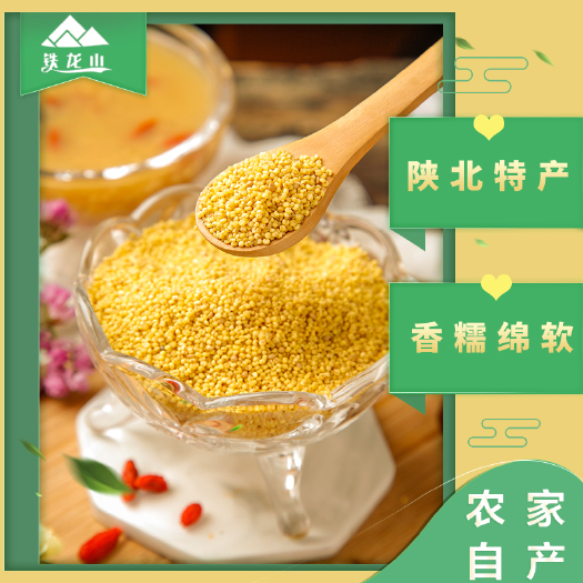 子洲县香谷一号一级黄小米新米农家自产食用好吃米脂五谷杂粮食糯小米粥