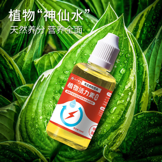 广元一件代发植物活力素家庭园艺花卉植物通用型持续养分供给促进生长