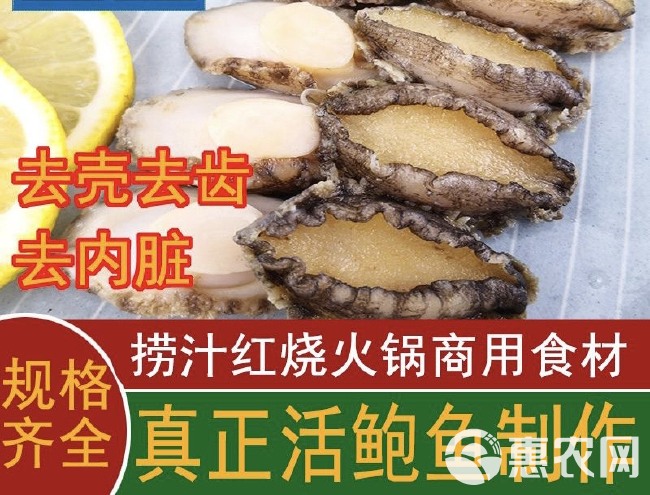 鲍鱼肉去壳去内脏火锅捞汁烧烤串串活鲍鱼现剥纯肉捞汁小海鲜食材