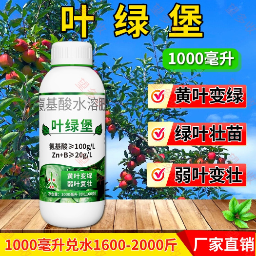 潍坊奥潍叶绿堡叶面肥黄叶变绿弱叶变壮 小叶变大氨基酸水溶肥料