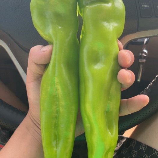 肇州县精品牛角椒