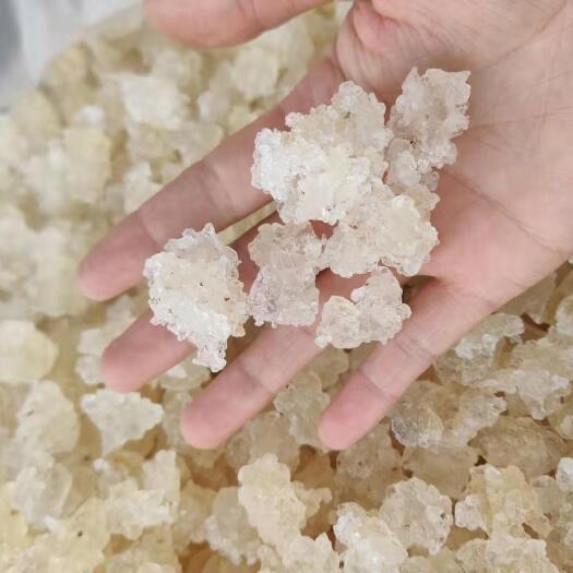 瑞丽市雪燕