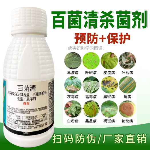 寿光市百菌清杀菌剂炭疽病白粉病锈病叶斑病霜霉病果树蔬菜花卉多肉农药