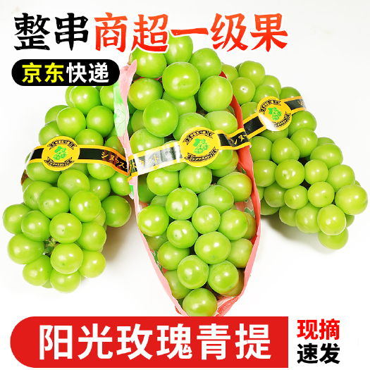 海阳市【 顺丰包邮】阳光玫瑰葡萄晴王青提一级3斤装一件代发