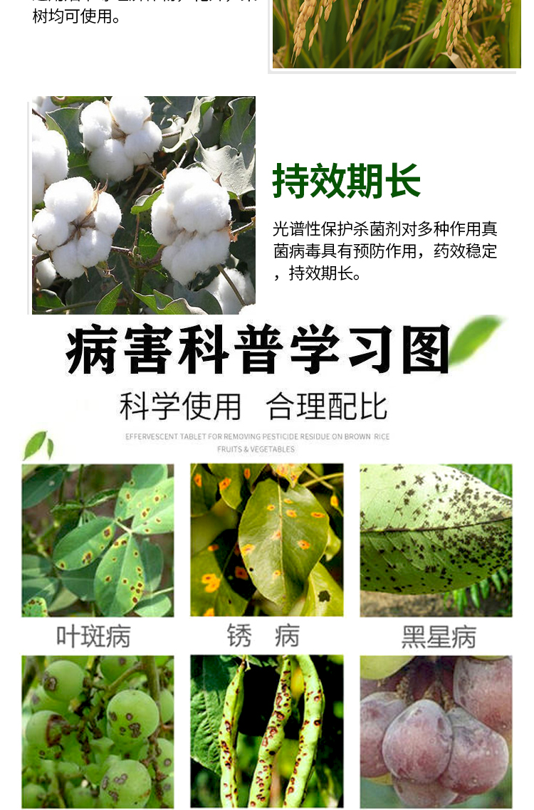 百菌清杀菌剂炭疽病白粉病锈病叶斑病霜霉病果树蔬菜花卉多肉农药