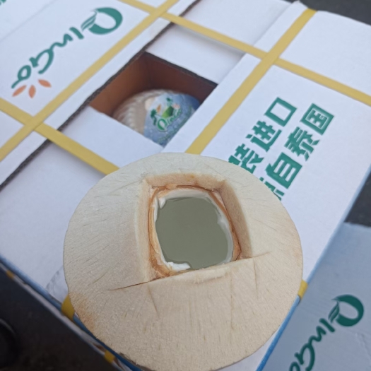 广州【零售散卖】泰国椰青一级市场直发性价比高