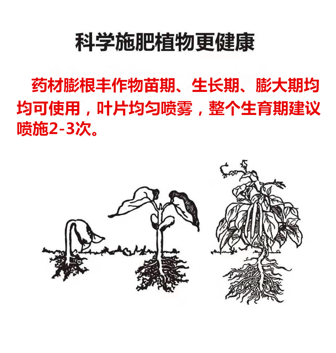 柴胡地黄西洋参半夏黄精山药地下块茎根茎药材专用膨根肥