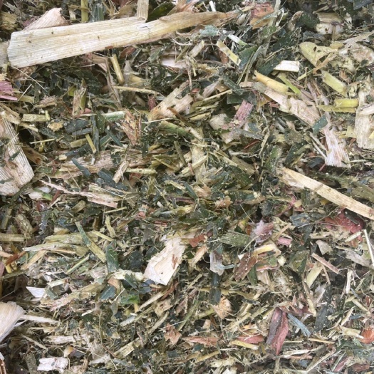 兰陵县玉米黄储