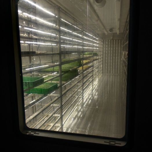 青州市箱式四季水培牧草设备--金欣农业