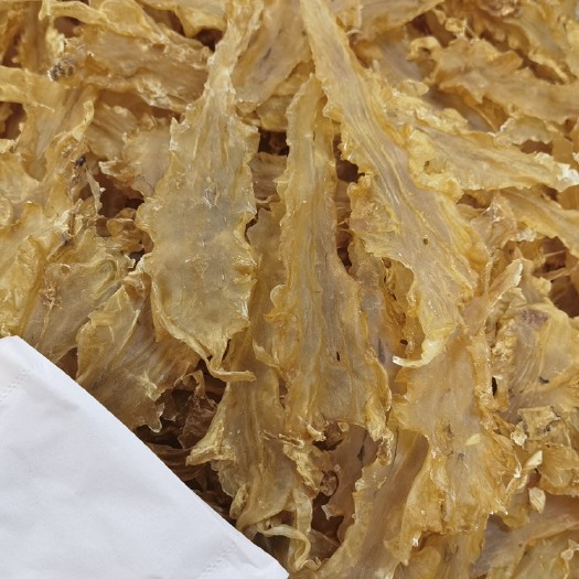 广州冰岛足干鳕鱼胶各种规格批发