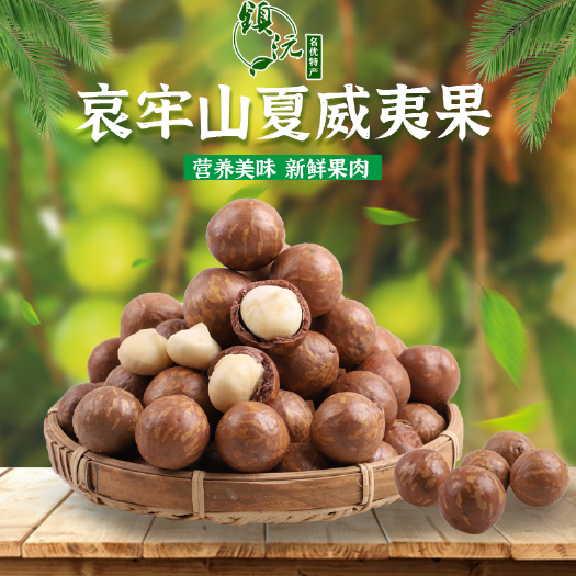 镇沅县云南新鲜夏威夷果镇沅产地原味生果澳洲坚果孕妇营养上市