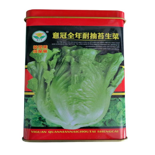济南改良大速生菜种子速生全年耐抽苔生菜种子大田用种沙拉生菜种子