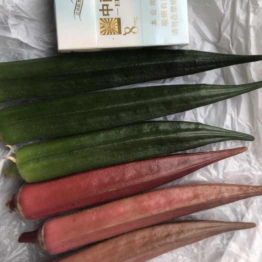 北京水果秋葵，红秋葵种子