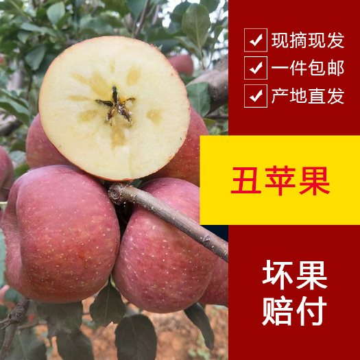 昭通丑苹果云南昭通脆甜苹果不打蜡当季冰糖心新鲜水果不套袋红富士果