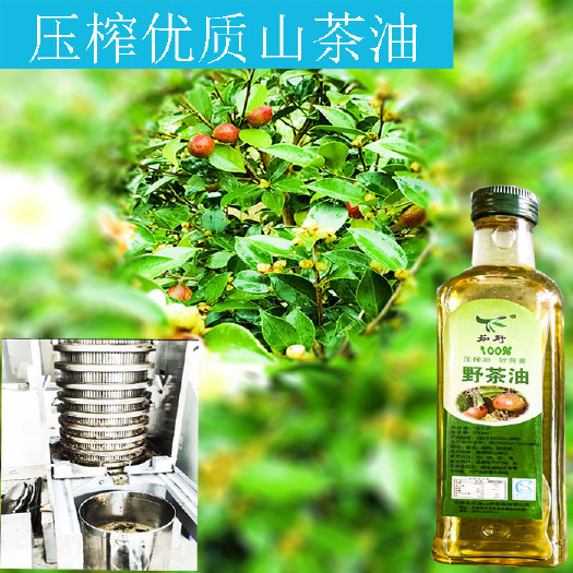 东至县压榨山茶油传统工艺提炼清香浓郁口感好品质佳