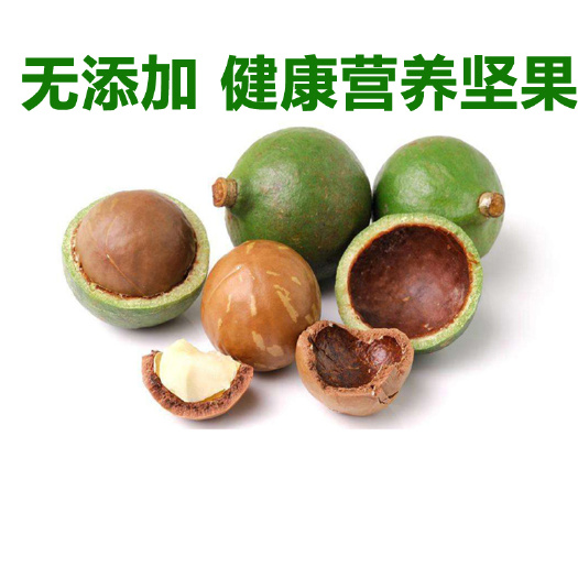 昆明彝山香新鲜夏威夷果农场采摘直供特产坚果产地原材料供应